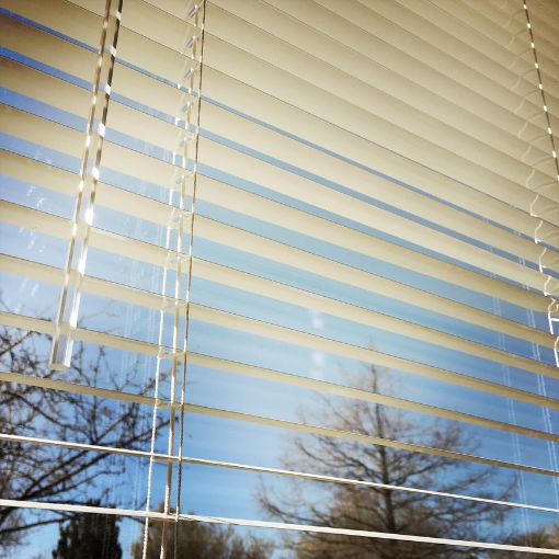 Window Blinds